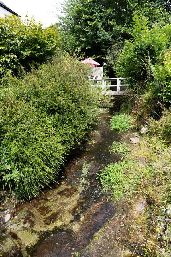 Briardene Cottage Yelverton Esterno foto
